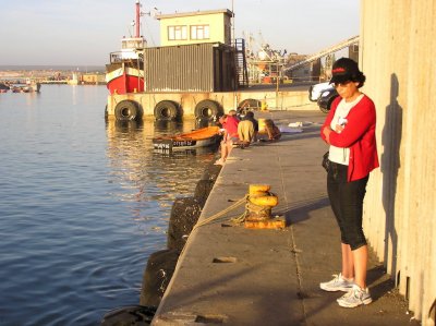 Lamberts Bay South Africa