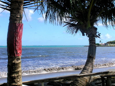 Martinique East Coast