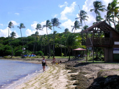 Martinique East Coast