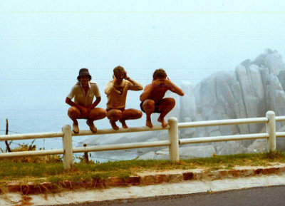 Three Monkeys 1980's
