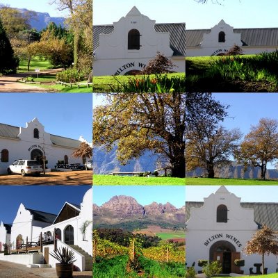Bilton Wine Estate  Stellenbosch