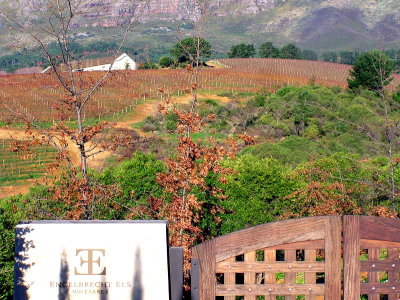 Stellenbosch Ernie Els Wine-Estate