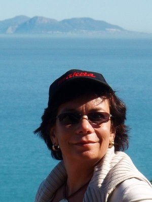 Afrique du Sud Rooi Els False Bay
