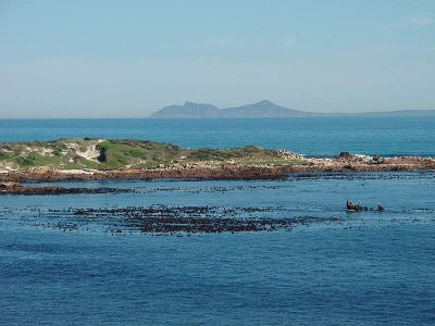 Afrique du Sud Rooi Els False Bay