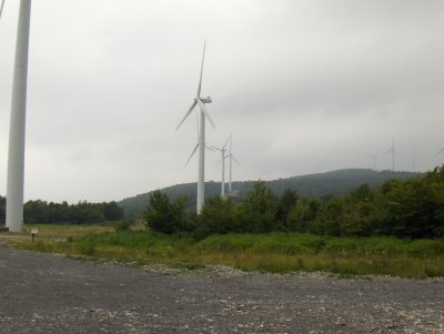 HPIM0122.JPG