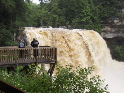 g6/75/452075/3/83754001.fR4jUTjS.jpg