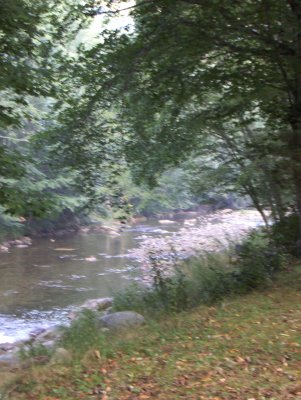 Along the River