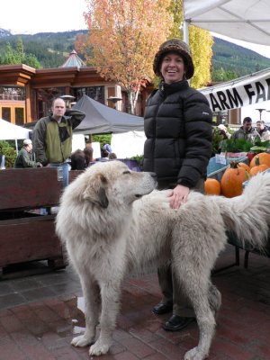 Karen and new canine friend at Whistler Farmer's Market Sunday