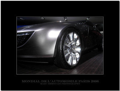 Mondial de lAutomobile Paris 2006 - 36