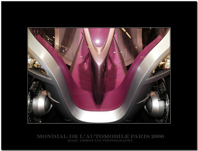Mondial de l'Automobile Paris 2006 - 39
