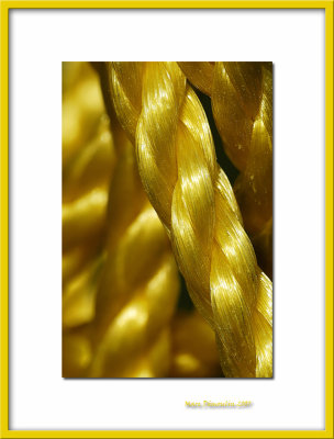Yellow seesaw's rope, Bernay