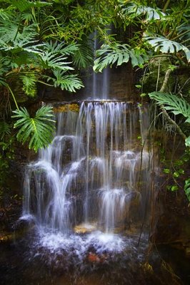 'Rainforest' Waterfall 20060416