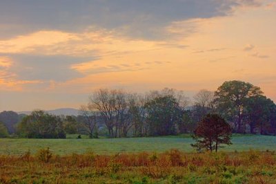 Georgia Daybreak 8929