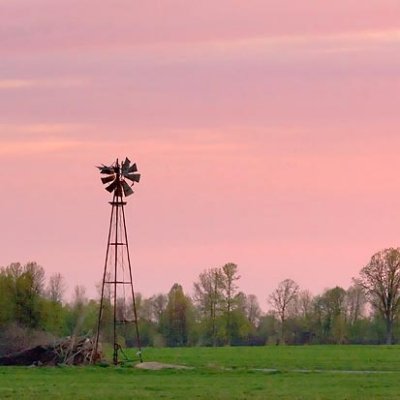 Blown Out Windmill 60120