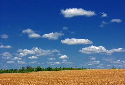 Harvested Field 9199