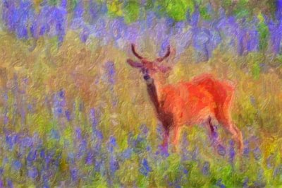 Deer Amid Wildflowers 62541 Art