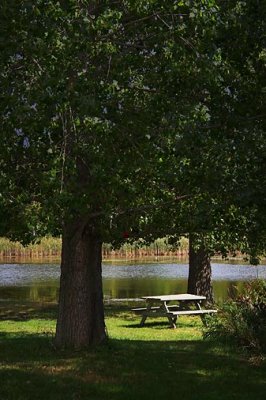 Riverside Picnic Table 66565