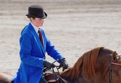 Dressage Equestrian 67209