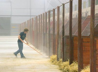 Sweeping The Horse Barn 67191