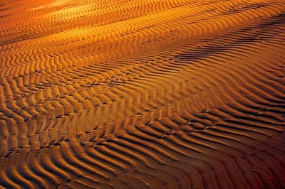Sunrise Ripples In The Sand 69219