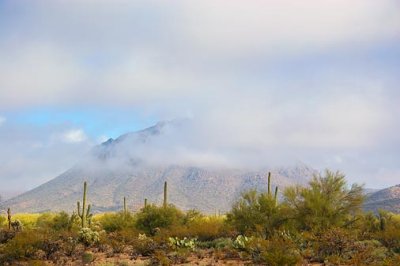 Lifting Desert Fog 76939