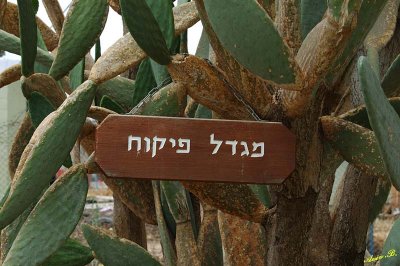 01283 - Control tower sign / Rosh-Pina airport - Israel