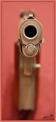 01915 - Pistol (DoF)