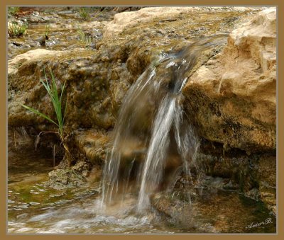 02407 - Mini waterfall / Ein-Ovdat - Israel
