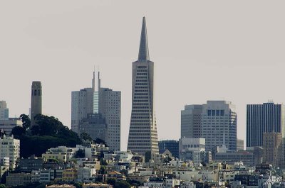 05215 - Coit tower and Tramsamerica building, San Francisco / (from) Alcatraz island - CA - USA