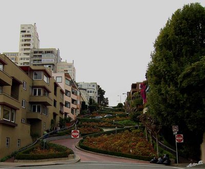 05226 - Lombard st. / San-Francisco - CA - USA