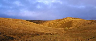 05350 - The brown hills... / Rd. 1 - CA - USA
