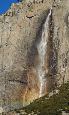 05428 - Yosemite falls / Yosemite NP - CA - USA