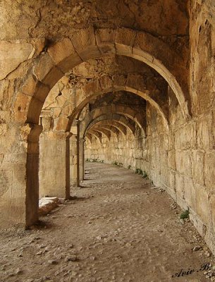 06388 - Aspendos arcs... / Antalya - Turkey