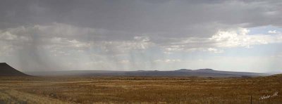 11581 - and a bit of rain in the desert / Namibia
