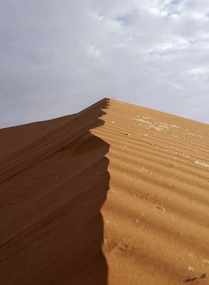 11654 - Dune 45 / Sossussvlei - Namibia