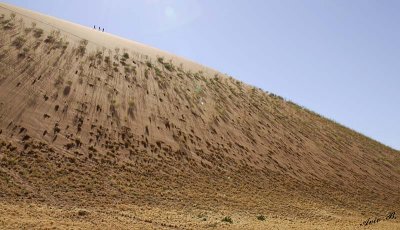 11681 - The dunes / Sossussvlei - Namibia