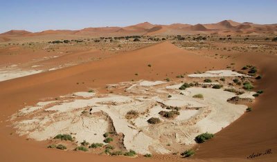 11694 - Dead Vlei between the dunes / Sossussvlei - Namibia