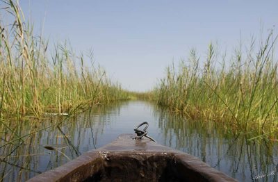 12301 - Kano sailing / Okavango Delta - Botswana