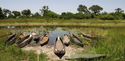 12304 - Kano parking / Okavango Delta - Botswana