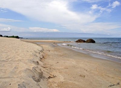 13029 - The beach / Lake Malawi - Malawi