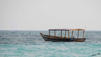 13278 - Old boat | Zanzibar - Tanzania