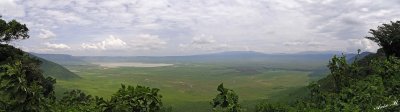 13524-13530 - Ngorongoro Crater - Tanzania