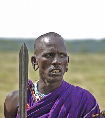 13718 - Masai warrior / Masai village - Serengeti - Tanzania