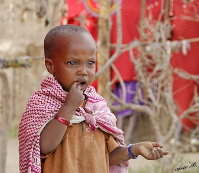 13744 - Masai / Masai village - Serengeti - Tanzania