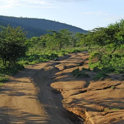 14124 - Main road in Masai Mara / Masai Mara - Kenya