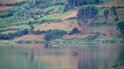 14222 - Sailing alone | Lake Bunyoni - Uganda