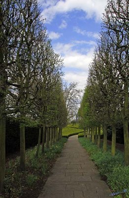 15129 - The trail... / Kew Gardens - Richmond - England