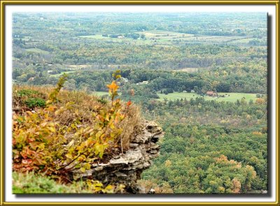 thacher_park