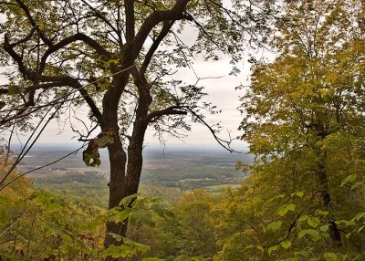 thacher_park