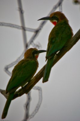 g6/75/534675/3/86804583.nfHiBn0p.jpg